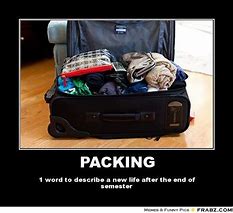 Image result for Vacation Packing Meme