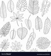 Image result for Vector Tropical Leaf Outline