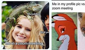 Image result for Zoom Profile Picture Memes