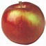 Image result for A Straight Row of Golden Apple's Vertical