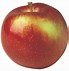 Image result for Cooking Apples Varieties