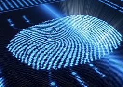 Image result for Fingerprint On Display