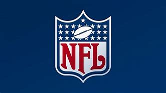 Image result for NFL Shop Logo