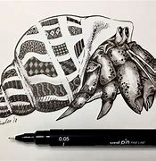 Image result for Hermit Crab Drawing