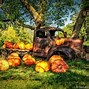 Image result for Vintage Fall Harvest