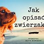 Image result for co_oznacza_zwierki