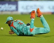 Image result for Cricket Catch