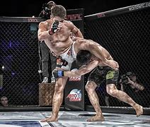 Image result for What Is Fighting Style