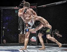 Image result for USA Fighting Style