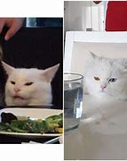 Image result for White Cat Table Meme