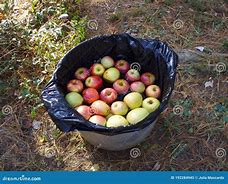Image result for Apple Bobbing Bucket