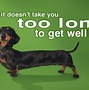 Image result for Get Well Cute Animal