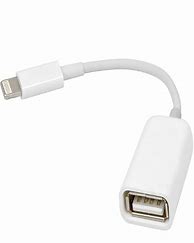 Image result for USB a Female to Lightning Cable