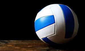Image result for Blue Volleyball