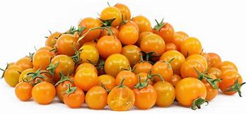 Sungold Tomato White Background 的图像结果