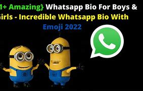 Image result for WhatsApp Bio