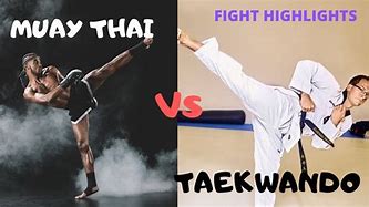 Image result for Taekwondo vs Muay Thai