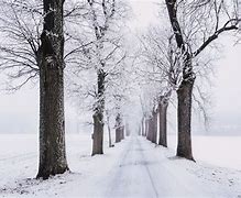 Image result for Snow Landscape Screensaver