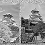 Image result for Osaka Castle Osaka Japan