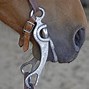 Image result for Horse Bit Fitting