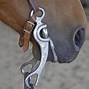 Image result for Horse Bits for Shoes