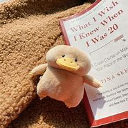 Image result for Duck Plush AirPod Case