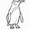Image result for Color the Shape Penguin