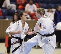 Image result for Kyokushin Fights