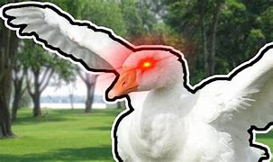 Image result for Goose Monster Memes