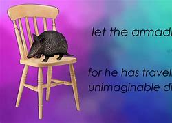 Image result for Funny Armadillo Memes