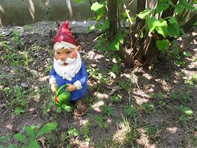 Image result for Happy Birthday Gnome Meme