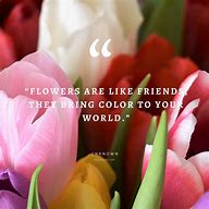 Image result for Pretty Flower Quotes
