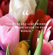 Image result for Beautiful Flower Quotes