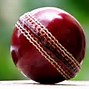 Image result for Toy Cricket Bat