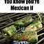 Image result for Mexican Burrito Meme