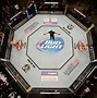 Image result for UFC Mixed Martial Arts