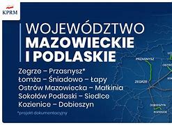 Image result for co_oznacza_Żegiestów