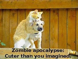 Image result for Zombie Brains Meme