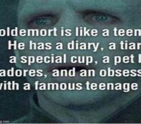 Image result for Harry Potter Memes Voldemort Is Like a Teenage Girl