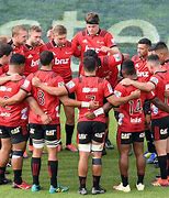 Image result for Crusaders Rugby