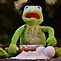 Image result for Kermit Working