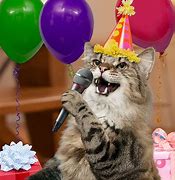 Image result for Cat Singing Happy Birthday Meme