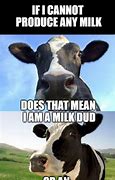 Image result for Cow Udder Meme
