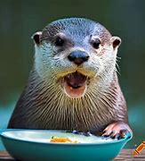 Image result for Cute Otter Swimming