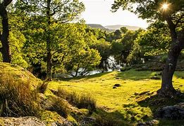 Image result for Afon Rhaiadr Country House