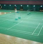 Image result for Badminton Coach