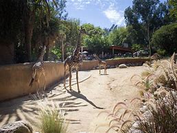 Image result for Zoo Los Angeles CA