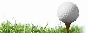 Image result for Golf Grass Texture