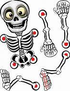 Image result for Life-Size Skeleton Cut Out