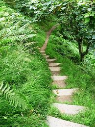 Image result for Nature Walking Path